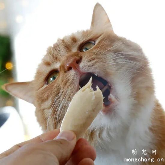 猫咪可以天天吃鸡胸肉吗