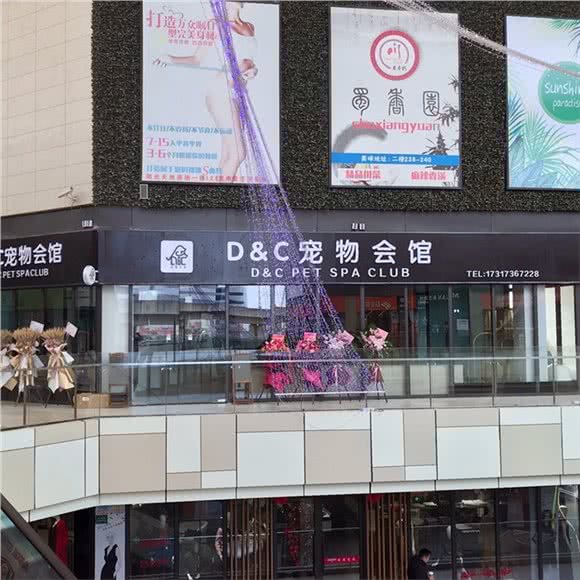 D&C宠物会馆(阳光天地店)