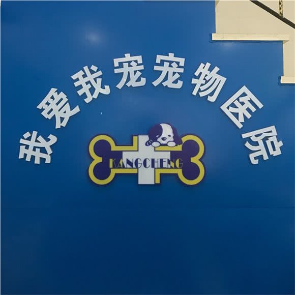 上海 上海市 浦东新区 惠南镇