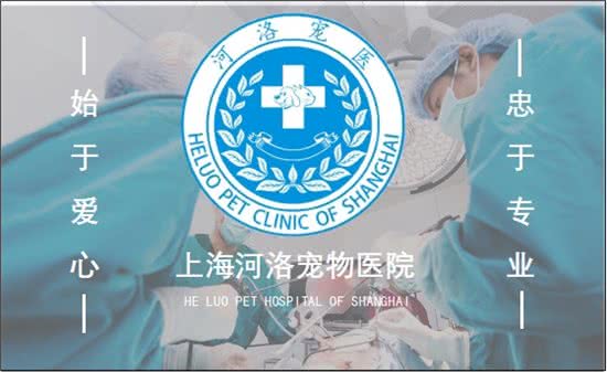 上海 上海市 浦东新区 航头