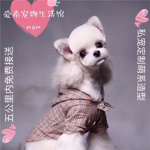 爱希宠物生活馆