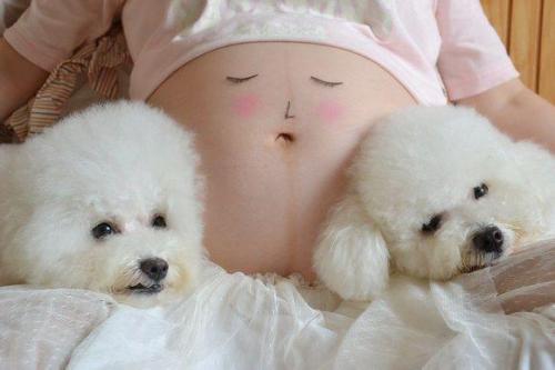 狗狗什么时候打疫苗？