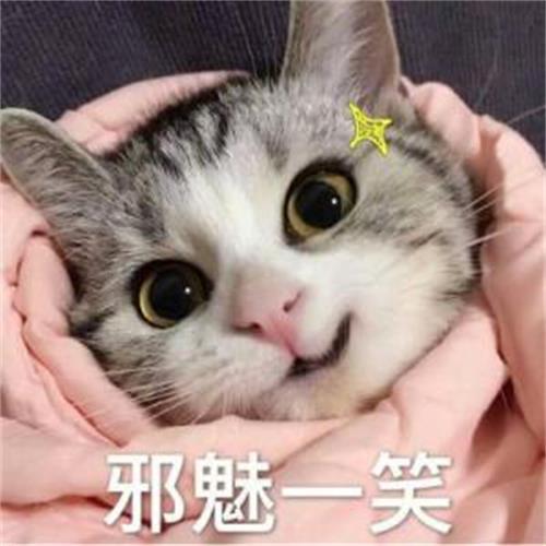 猫几个月的时候可以吃猫草