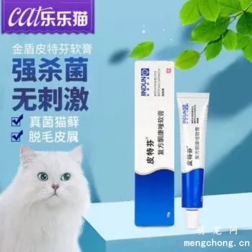 关于猫咪真菌感染猫癣，你需要知道这些