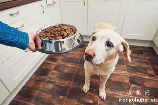 让狗狗不挑食的办法