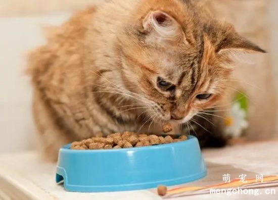 如何识别“进口猫粮”和“原装进口猫粮”？
