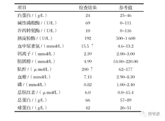 猫咪吞食异物容易引起肠梗阻(猫咪肠梗阻的诊断与治疗)