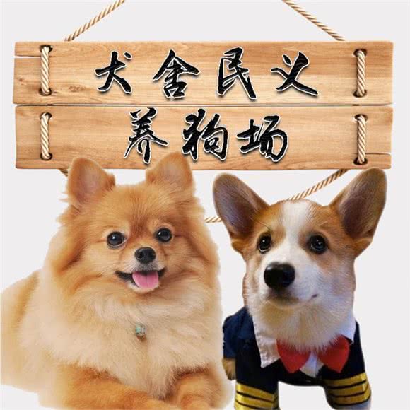 上海犬舍民义养狗场