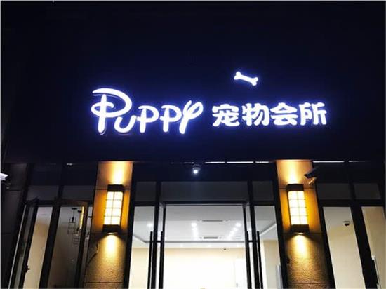 puppy宠物会所