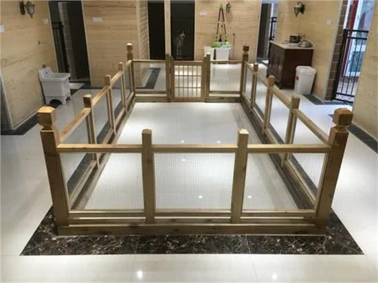 水瓶座宠物沙龙