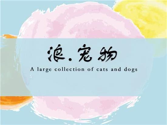 浪·宠物