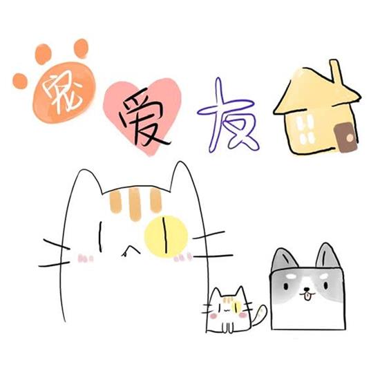 宠爱友家