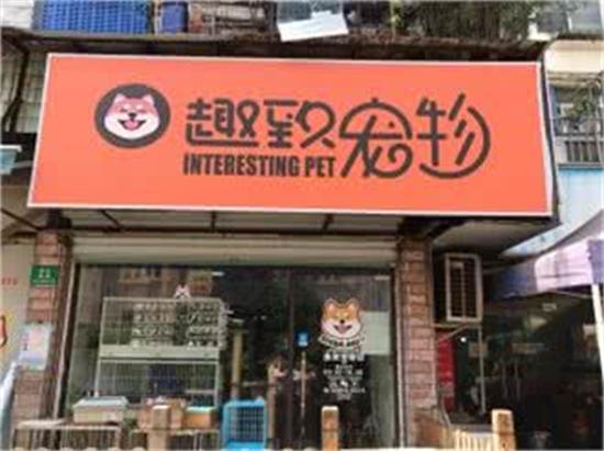 趣致宠物