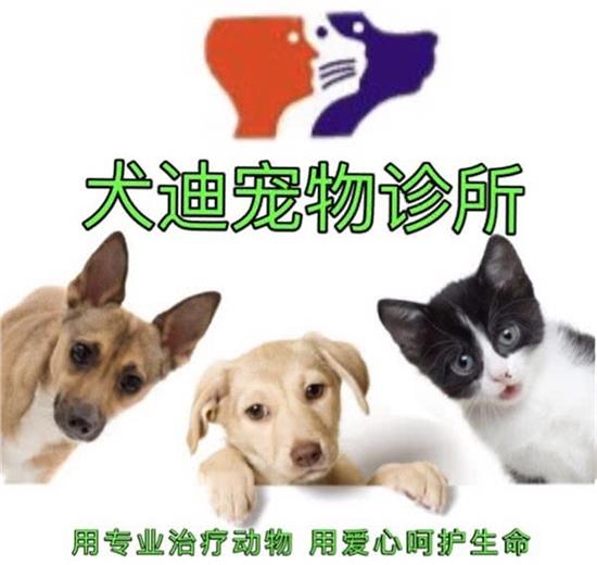 犬迪宠物诊所