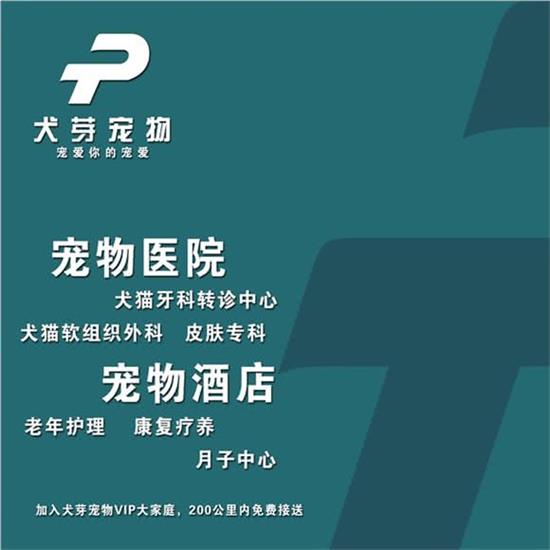 犬芽宠物诊所兽医牙科转诊中心月台路585号~587号