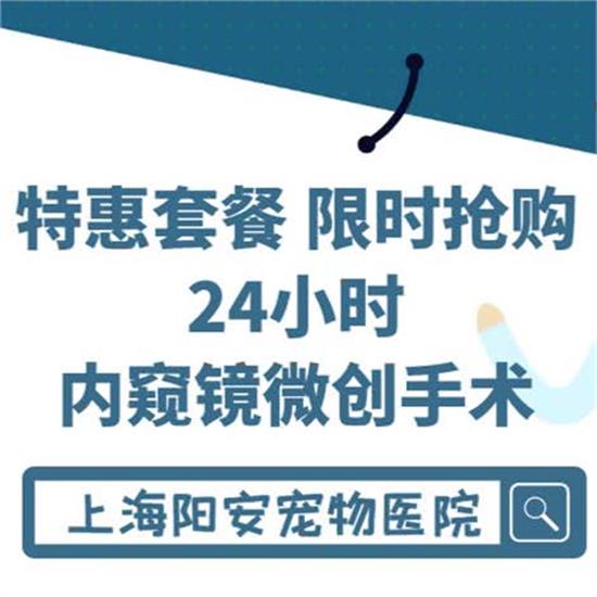 阳安宠物诊所·24h急重症超声诊断中心(内窥镜微创中心)嘉定区金沙江西路1002号103室（13号线金运路站 万达广场斜对面）