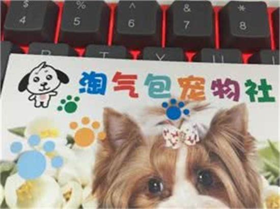 淘气包宠物社