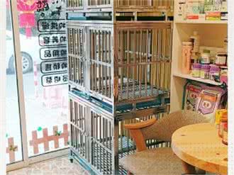 上海巴吉度宠物店