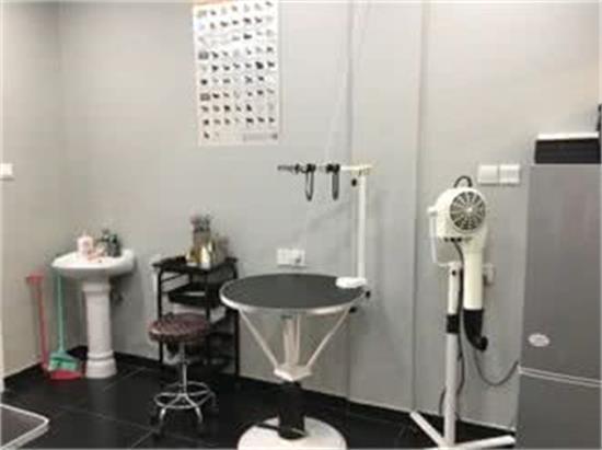 宠心宠意宠物店