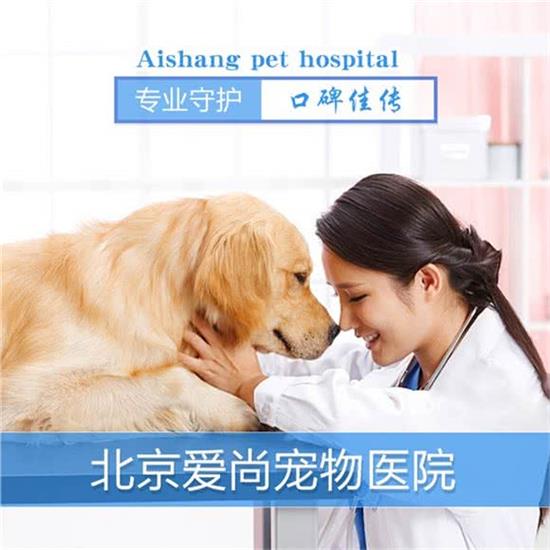 爱尚宠物医院