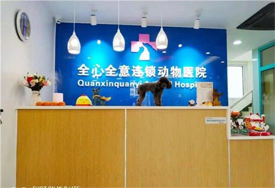 全心全意连锁动物医院(24小时西红门店)