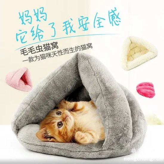 新手养猫需要准备什么物品？