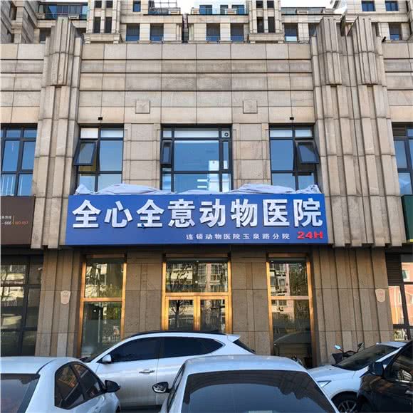 全心全意连锁动物医院(玉泉路店)金沟河路16号欧洲公馆底商全心全意动物医院