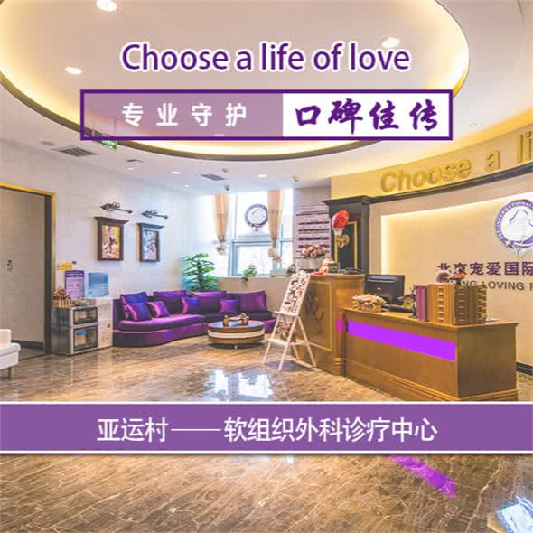 宠爱国际动物医院(亚运村店)