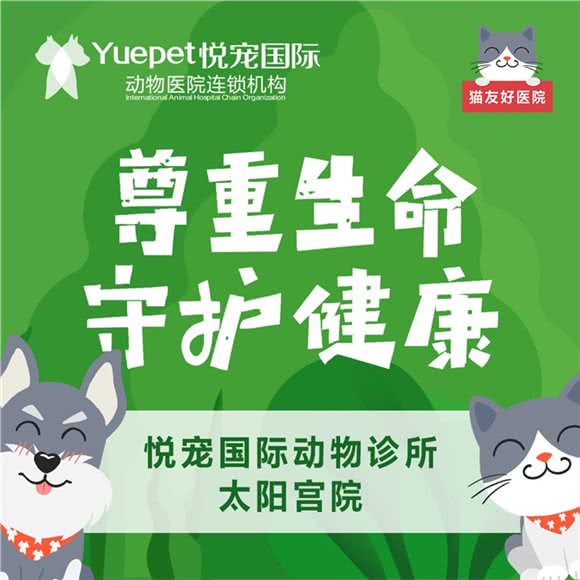 悦宠国际动物诊所(太阳宫店)