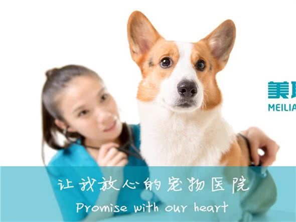 美联众合动物医院(南新园分院)