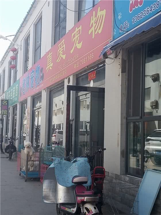 友佳动物医院(华贸天地店)