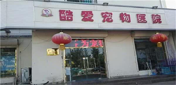 酷爱宠物医院(南开店)