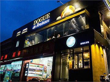 DOGUE宠物洗澡美容寄养活体售卖(虹莘路店)