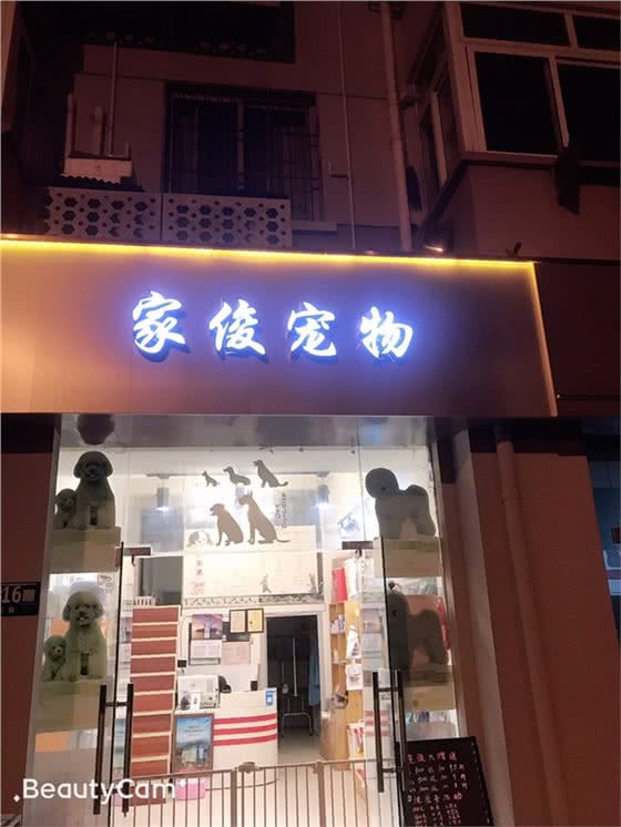 家俊宠物店