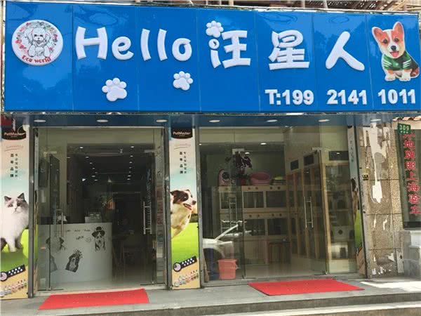 Hello汪星人