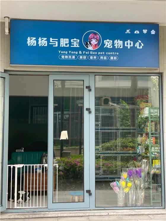 上海市 闵行区