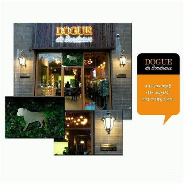 DOGUE宠物主题馆(新龙路店)新龙路1133号