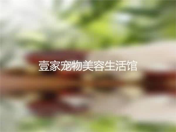 壹家动物诊所