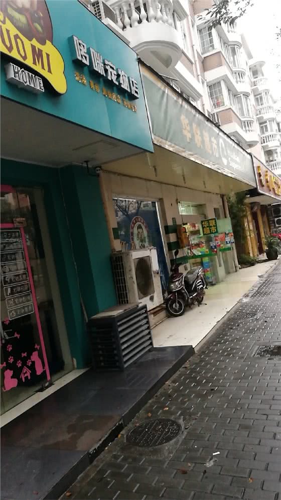 哆咪宠物店