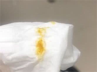 乐贝动物诊所