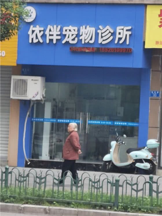 依伴宠物诊所