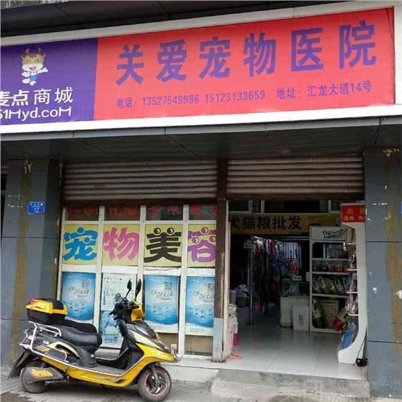 关爱动物医院