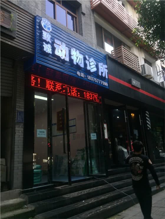 致诚动物诊所