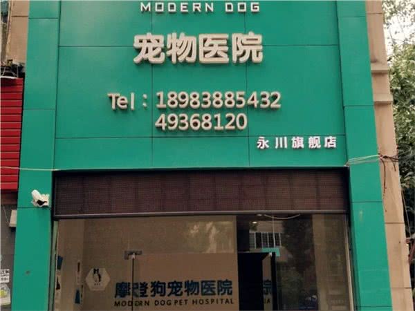 摩登狗宠物医院(永川旗舰店)