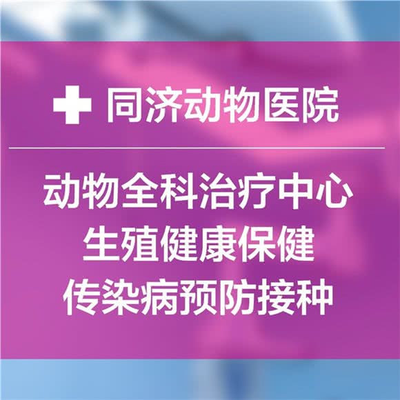 同济动物医院(人和店)