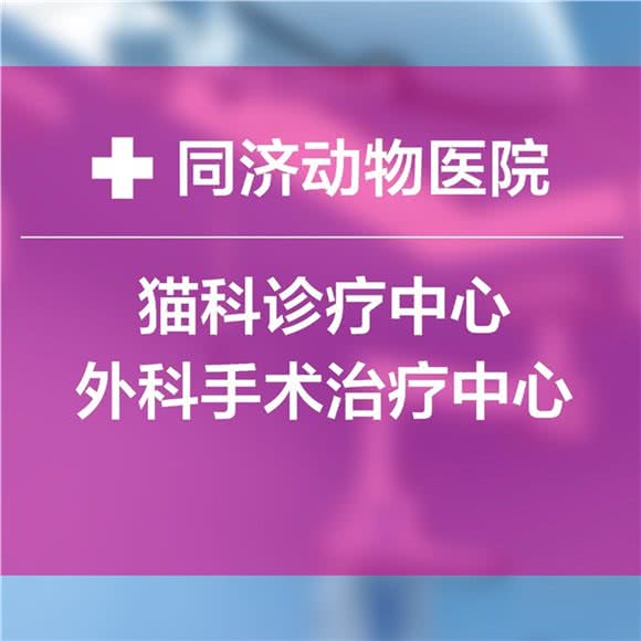 同济动物医院外科中心(东和店)
