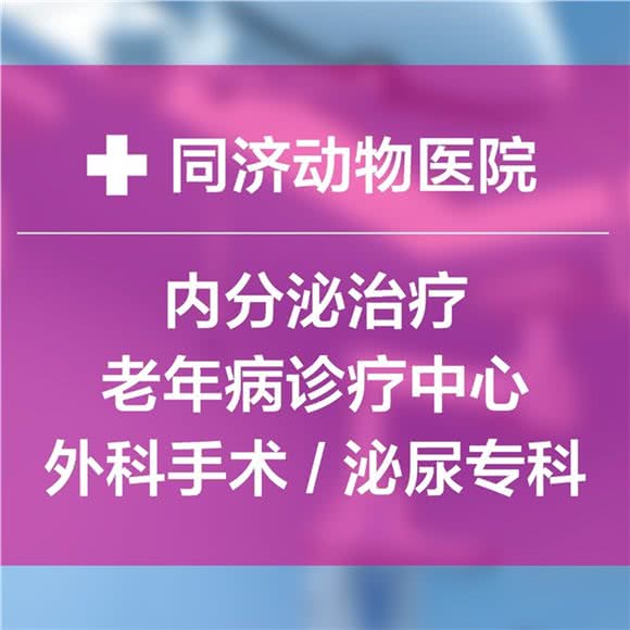 同济动物医院(金开店)