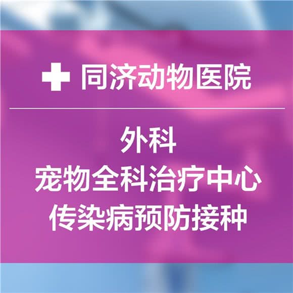 同济动物医院(加州电子校店)