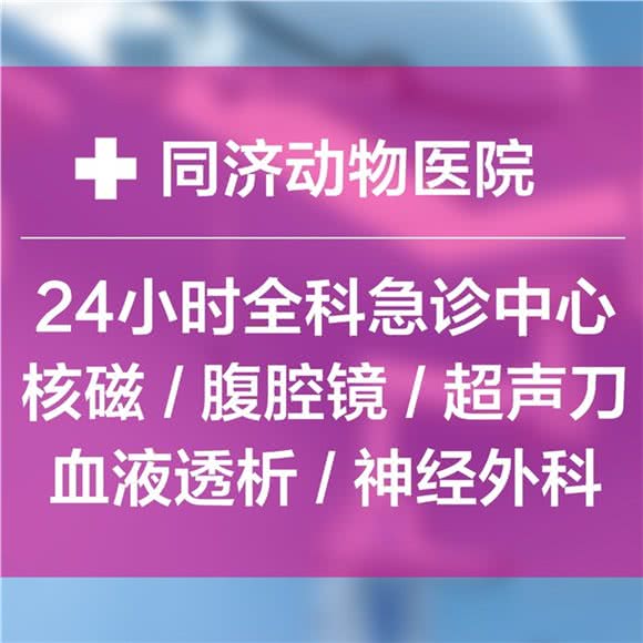 24小时同济动物医院(磁共振、血液透析、腹腔镜、转诊中心)