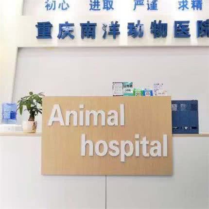 南洋动物医院